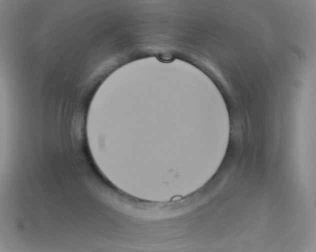 X0000113230023200910221049