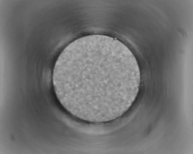 X0000113230024200910221049