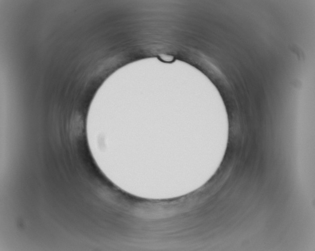 X0000113230025200910221049