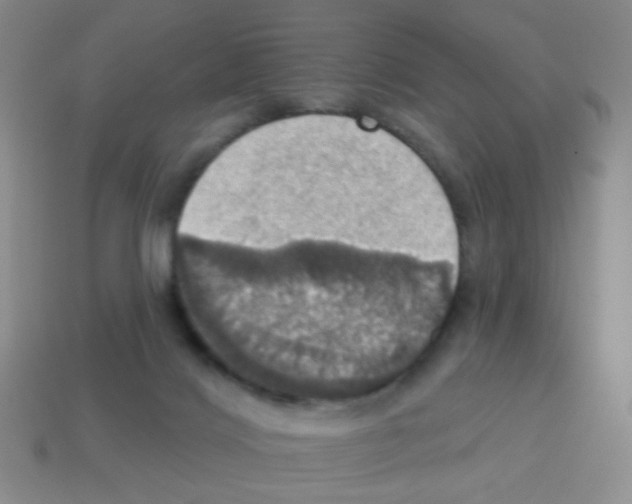 X0000113230028200910221049