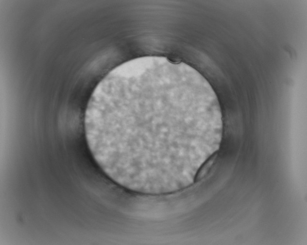 X0000113230029200910221049