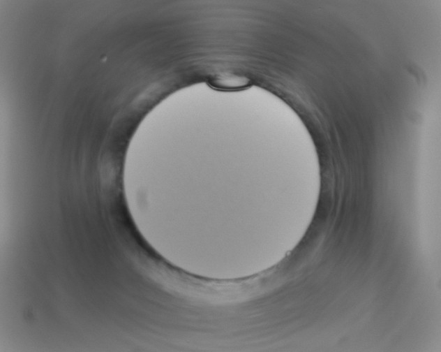 X0000113230031200910221049