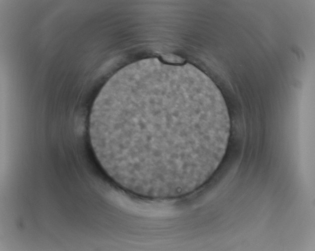 X0000113230032200910221049