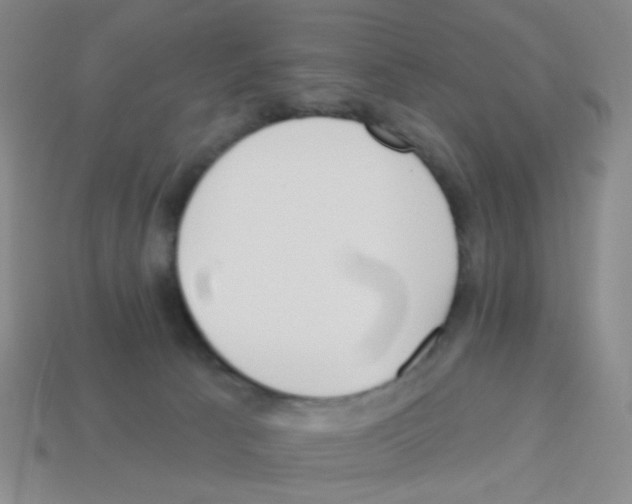 X0000113230033200910221049