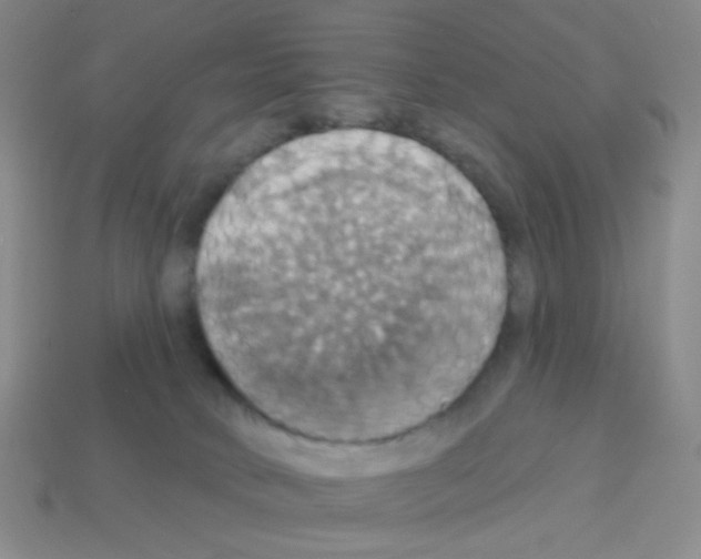 X0000113230034200910221049