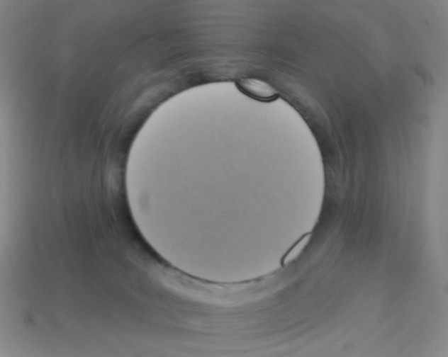 X0000113230035200910221049