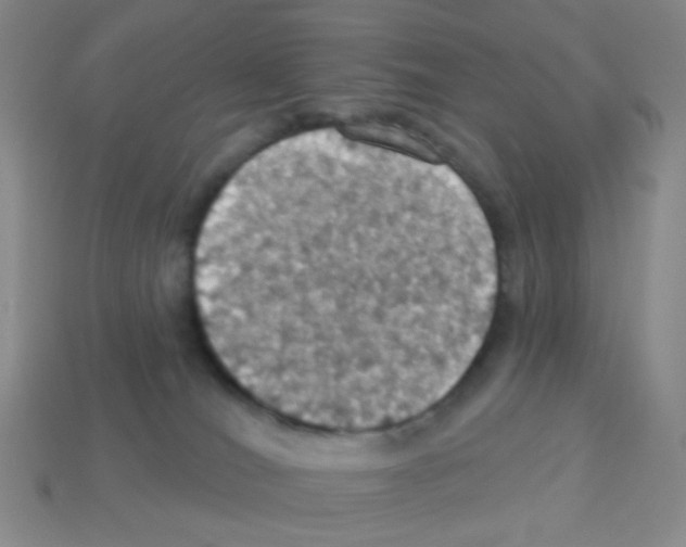 X0000113230036200910221048