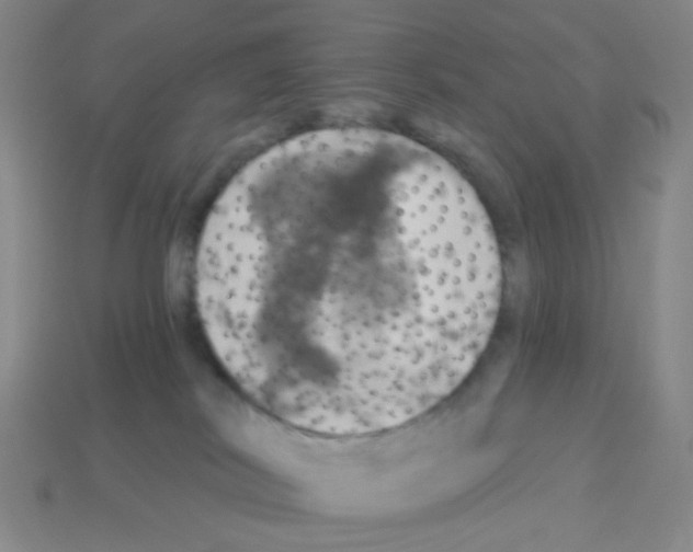 X0000113230038200910221048