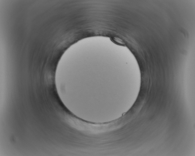 X0000113230039200910221048