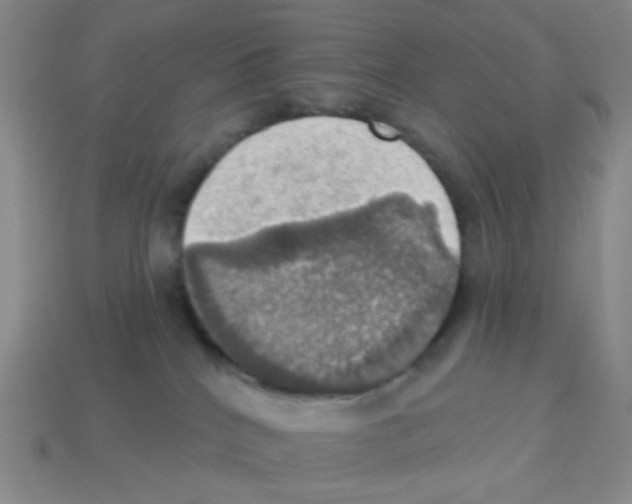 X0000113230040200910221048