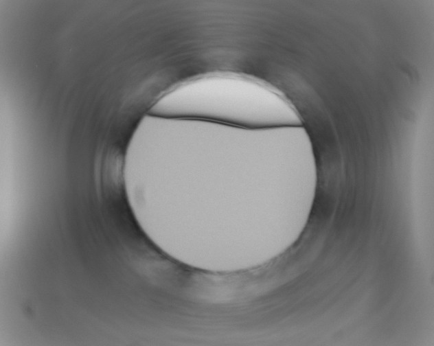 X0000113230041200910221048