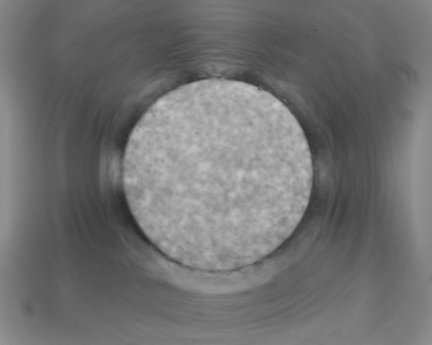 X0000113230042200910221048