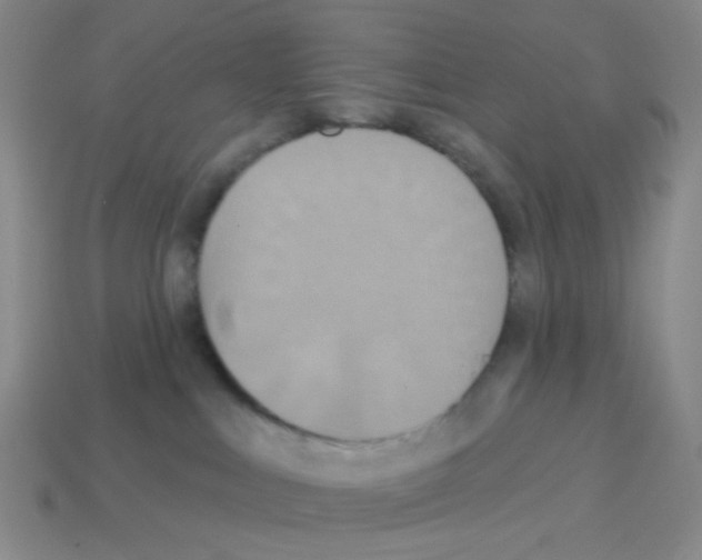 X0000113230043200910221048