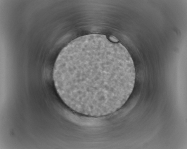 X0000113230044200910221048