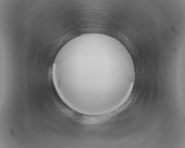 X0000113230045200910221048