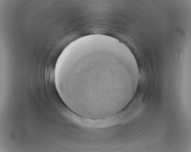 X0000113230046200910221048