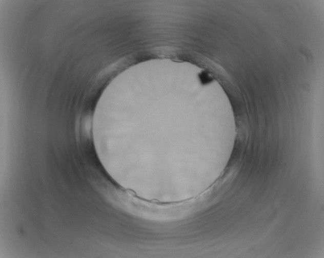 X0000113230047200910221048