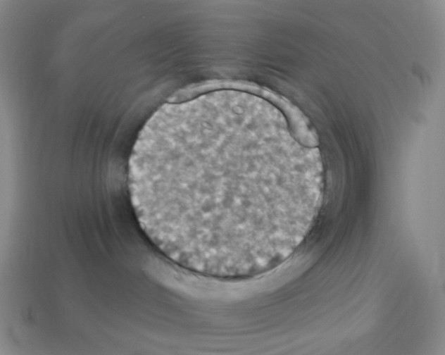 X0000113230048200910221048