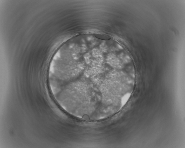 X0000113230049200910221048