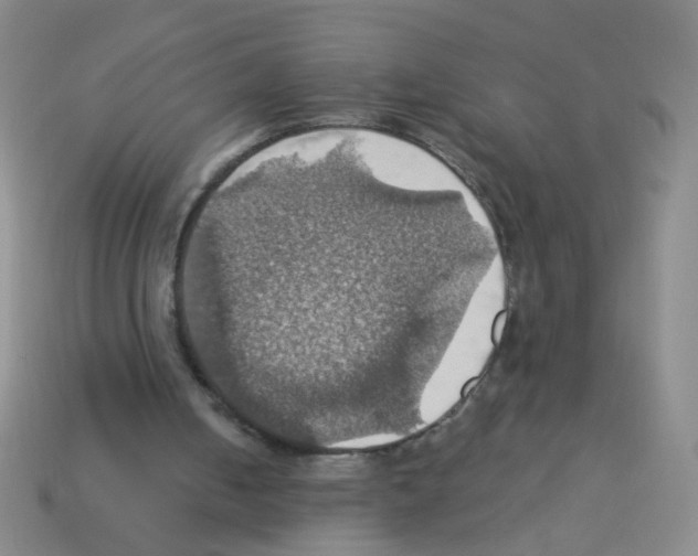 X0000113230050200910221048