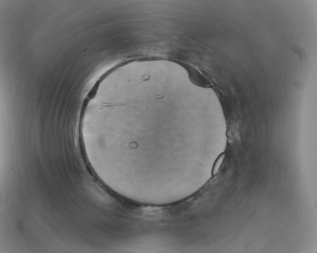 X0000113230052200910221048