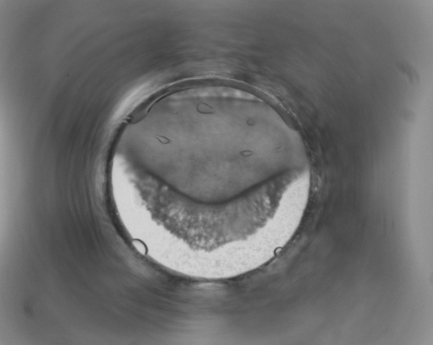 X0000113230053200910221048