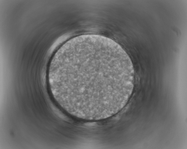 X0000113230054200910221048