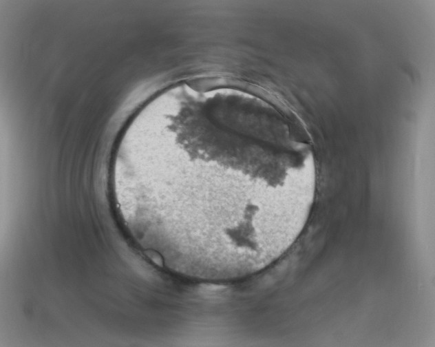 X0000113230055200910221048