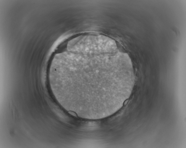 X0000113230056200910221048