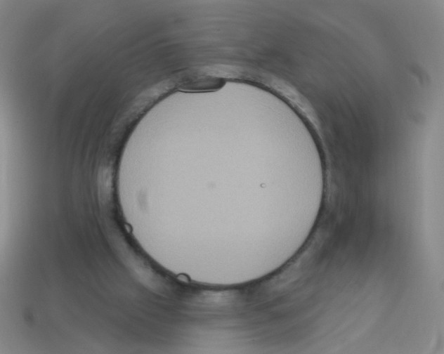 X0000113230057200910221048