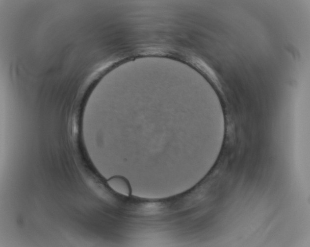 X0000113230059200910221048