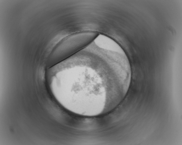 X0000113230060200910221048