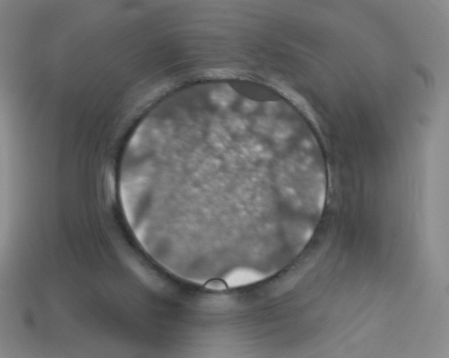 X0000113230061200910221048