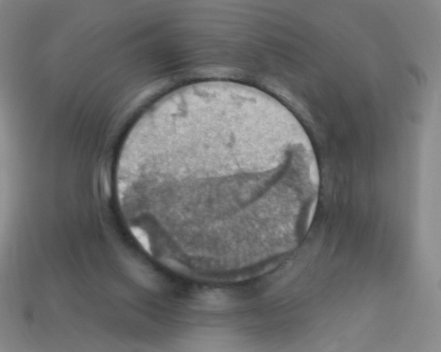 X0000113230062200910221048