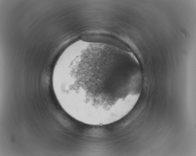 X0000113230063200910221048