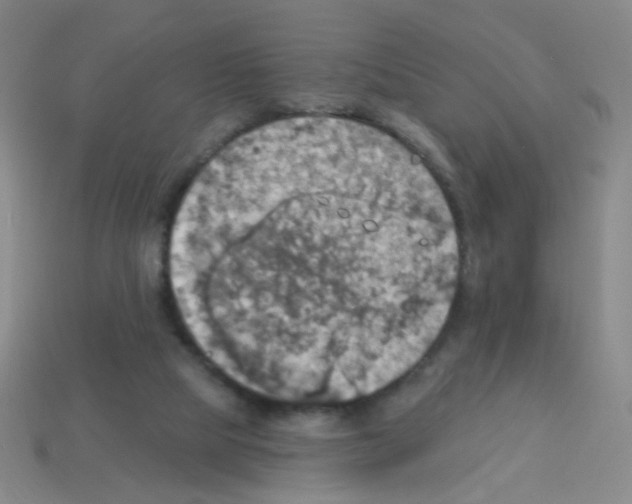 X0000113230065200910221048