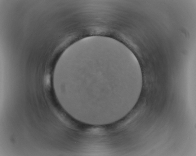 X0000113230067200910221048