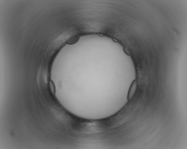 X0000113230068200910221048