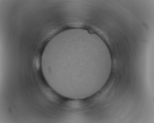 X0000113230069200910221048