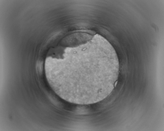 X0000113230070200910221048