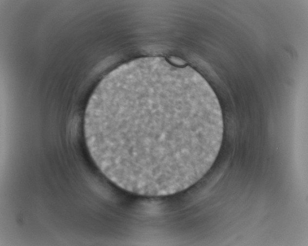 X0000113230071200910221048