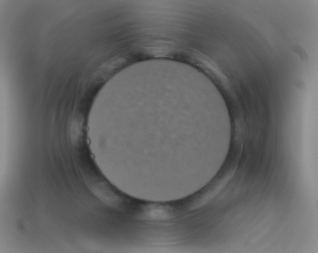 X0000113230073200910221048