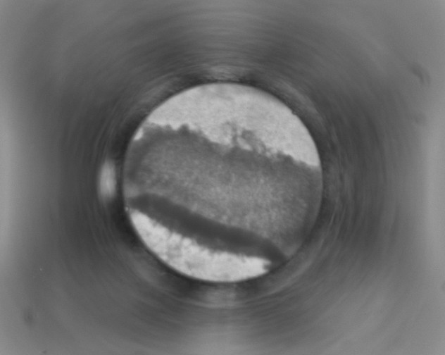 X0000113230075200910221048