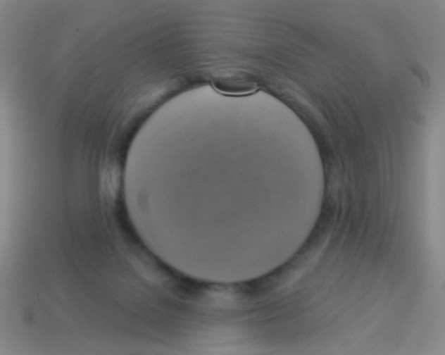 X0000113230076200910221048