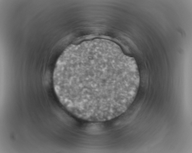 X0000113230077200910221048