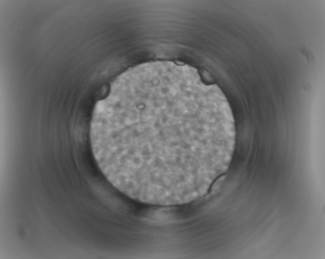 X0000113230078200910221048