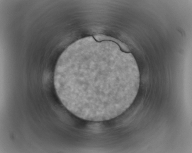 X0000113230079200910221048