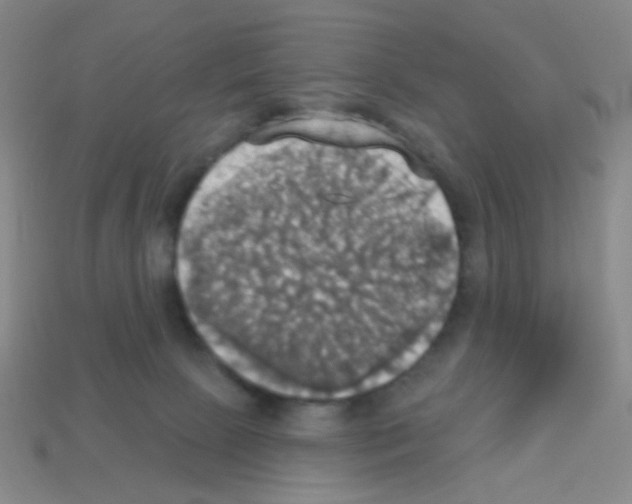 X0000113230081200910221048