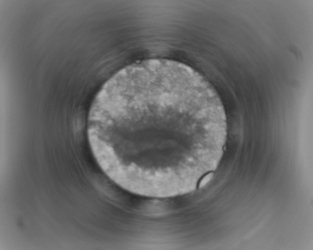 X0000113230082200910221048