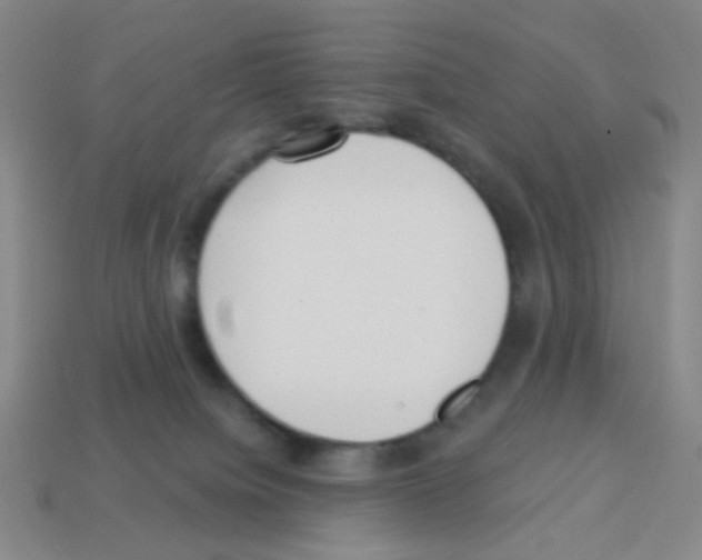 X0000113230084200910221048